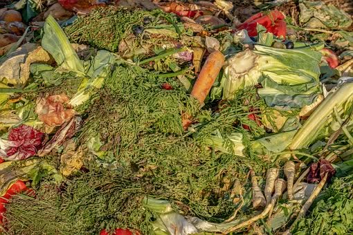 smaltire il compostaggio domestico